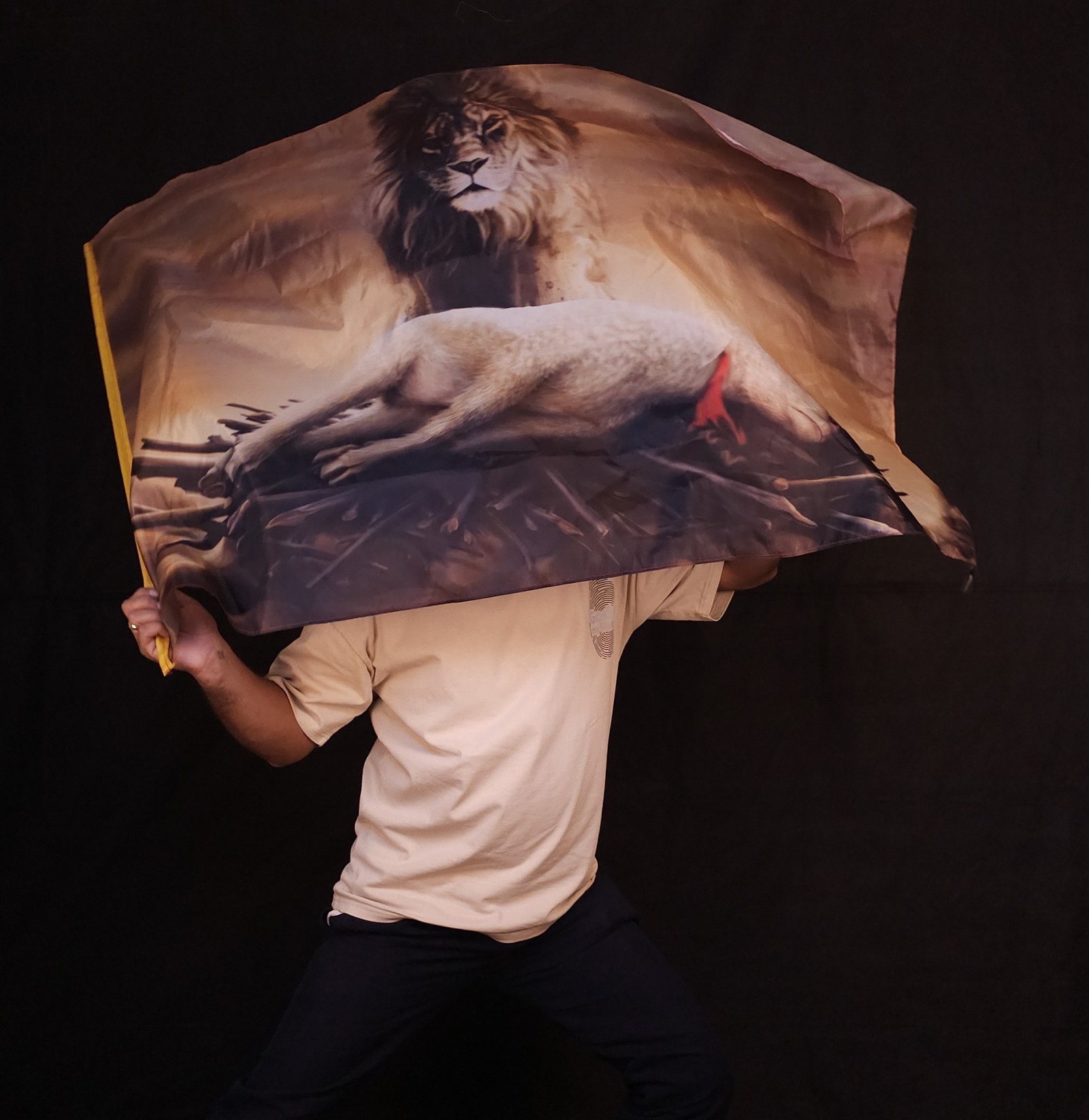 20250918_141325(0) (1)