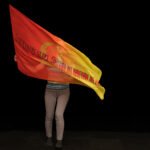 FLAG0491