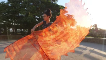 Fire Flag