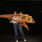 FLGS0336 copy