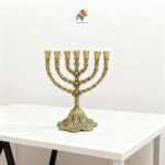 WhatsApp Image 2025-11-16 at 5.17.38 PM